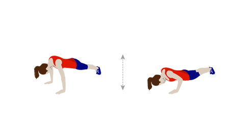 Carrera