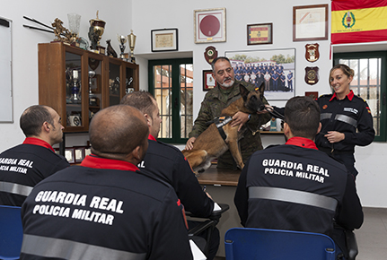 Imagen de Cómo ingresar