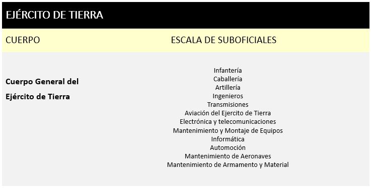 Escala de suboficiales: EJÉRCITO DE TIERRA -> Cuerpo General del Ejército de Tierra: Infantería ligera, Infantería Acorazada/Mecanizada, Caballería, Artillería de Campaña, Artillería Antiaérea, Ingenieros, Transmisiones, Helicópteros, Electrónica y Telecomunicaciones, Mantenimiento y Montaje de Equipos, Electricidad, Informática, Automoción, Mantenimiento de Aeronaves, Mantenimiento de Armamento y Material. ARMADA -> Cuerpo General de la Armada: Administración, Alojamiento y Restauración, Armas, Comunicaciones y Sistemas de Información, Energía y Propulsión, Maniobra y navegación, Sistemas, Buzo y Guerra Naval Especial, Artillería y misiles, Armas Submarinas, Buzo y Guerra Naval Especial, Mecánica, Electricidad, Hidrografía, Guerra electrónica, Sistemas Tácticos, Sonar, Dirección de tiro. Cuerpo de Infantería de Marina:Comunicaciones y sistemas de información, Automovilismo y medios anfibios mecanizados, Artillería, Guerra Naval especial y Zapadores. EJÉRCITO DEL AIRE-> Cuerpo General del Ejército del Aire: Protección y Apoyo a la Fuerza, Telecomunicaciones y Mantenimiento Operativo, Control Aéreo y Sistemas de Información. CUERPOS COMUNES DE LAS FUERZAS ARMADAS-> Cuerpo de Músicas Militares: Instrumentista