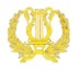 Música Instrumentista
